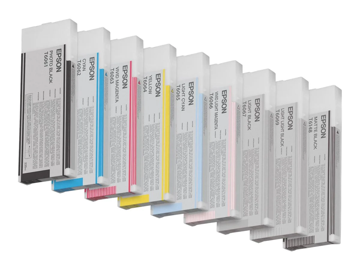 EPSON 5LB T6066 ink cartridge light mag