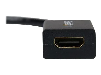 STARTECH DisplayPort Video Converter