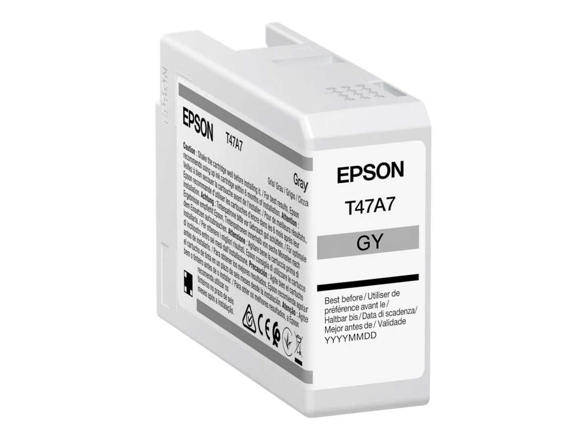 EPSON 5LB Singlepack Gray T47A7