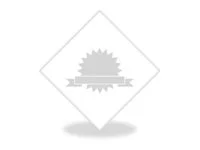 LEXMARK M3250 LS Parts Only x+1y