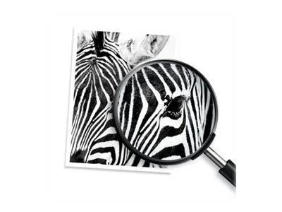 HP 924 Black Original Ink Cartridge