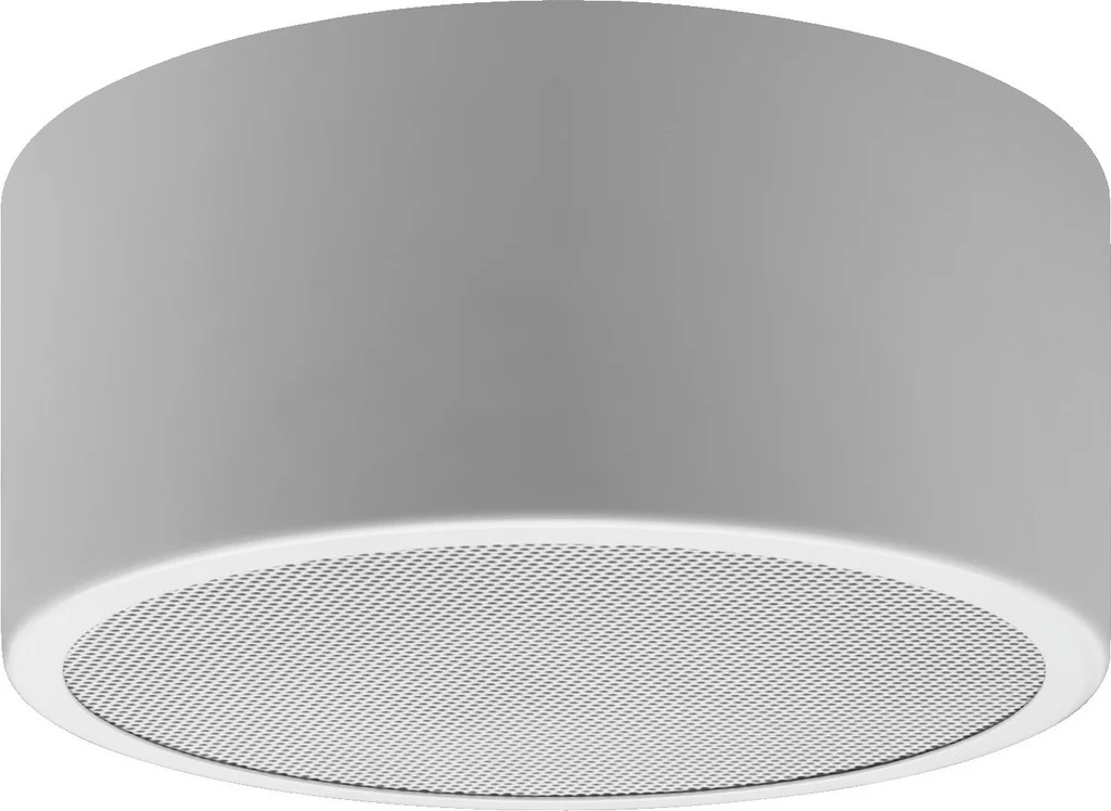 ESP-1000AB ELA-Wand-/Deckenlautsprecher