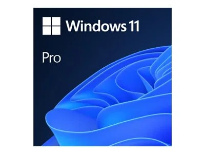MS SB Windows 11 Pro 64bit [UK] DVD