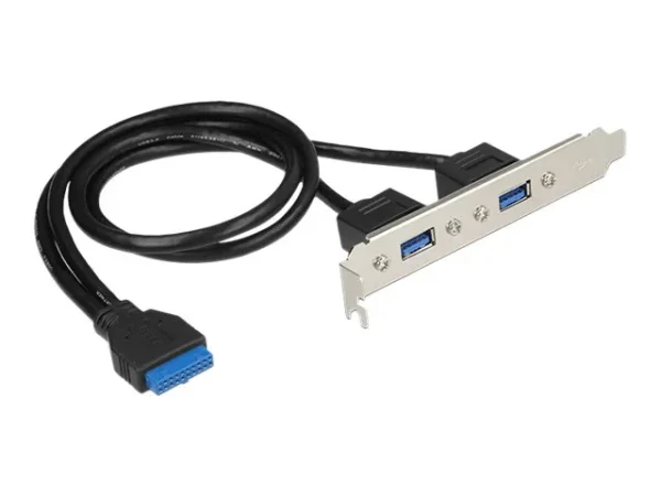 Delock Slotblech 2x USB3.0 extern