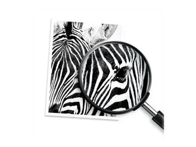 HP 364 Tinte Foto schwarz Vivera (DE)