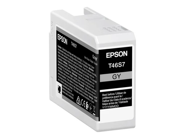EPSON 5LB Singlepack Gray T46S7