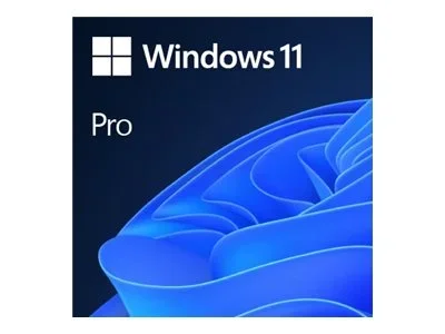 MS OEM Win 11 Pro 64Bit DVD OEM EN