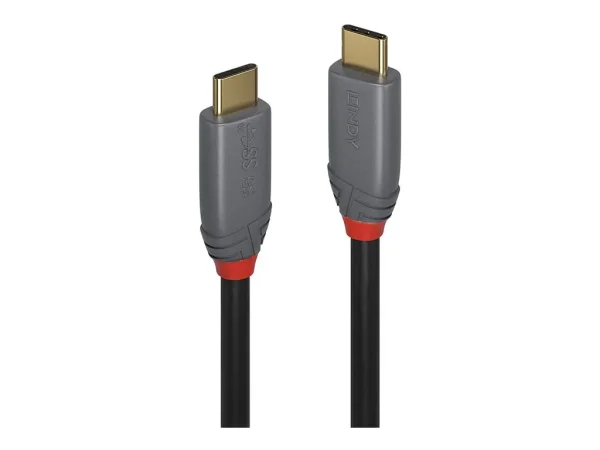 LINDY 2m USB 3.2 Typ C Kabel 5A PD An