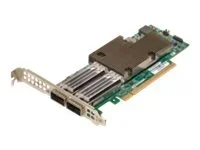 BROADCOM P2100G PCIe NIC (B)