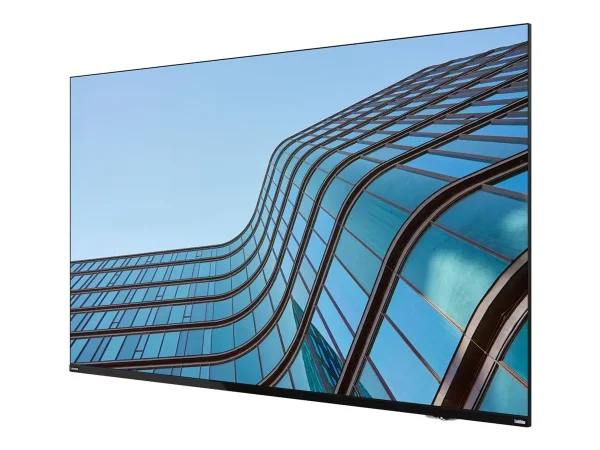 LENOVO ThinkVision E55 LFD 139,7cm TS