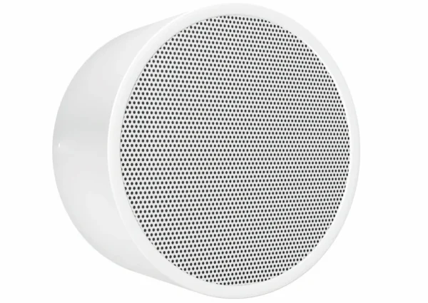 DAR-1000 Wand-und Deckenlautsprecher Metall mit hohem SPL