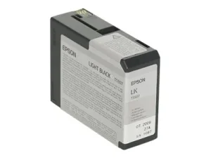 EPSON 5LB T5807 ink cartridge photo