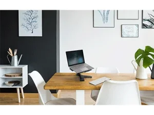 ERGOTRON Neo-Flex Notebook Lift Stand
