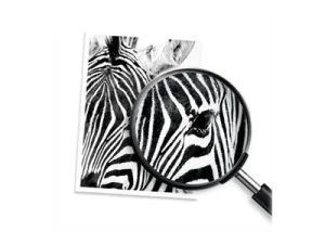 HP 937e EvoMore Magenta Org Ink Cartridg