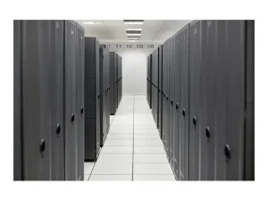 HPE SVT325 Gen11 1P Low 5yr E-LTU